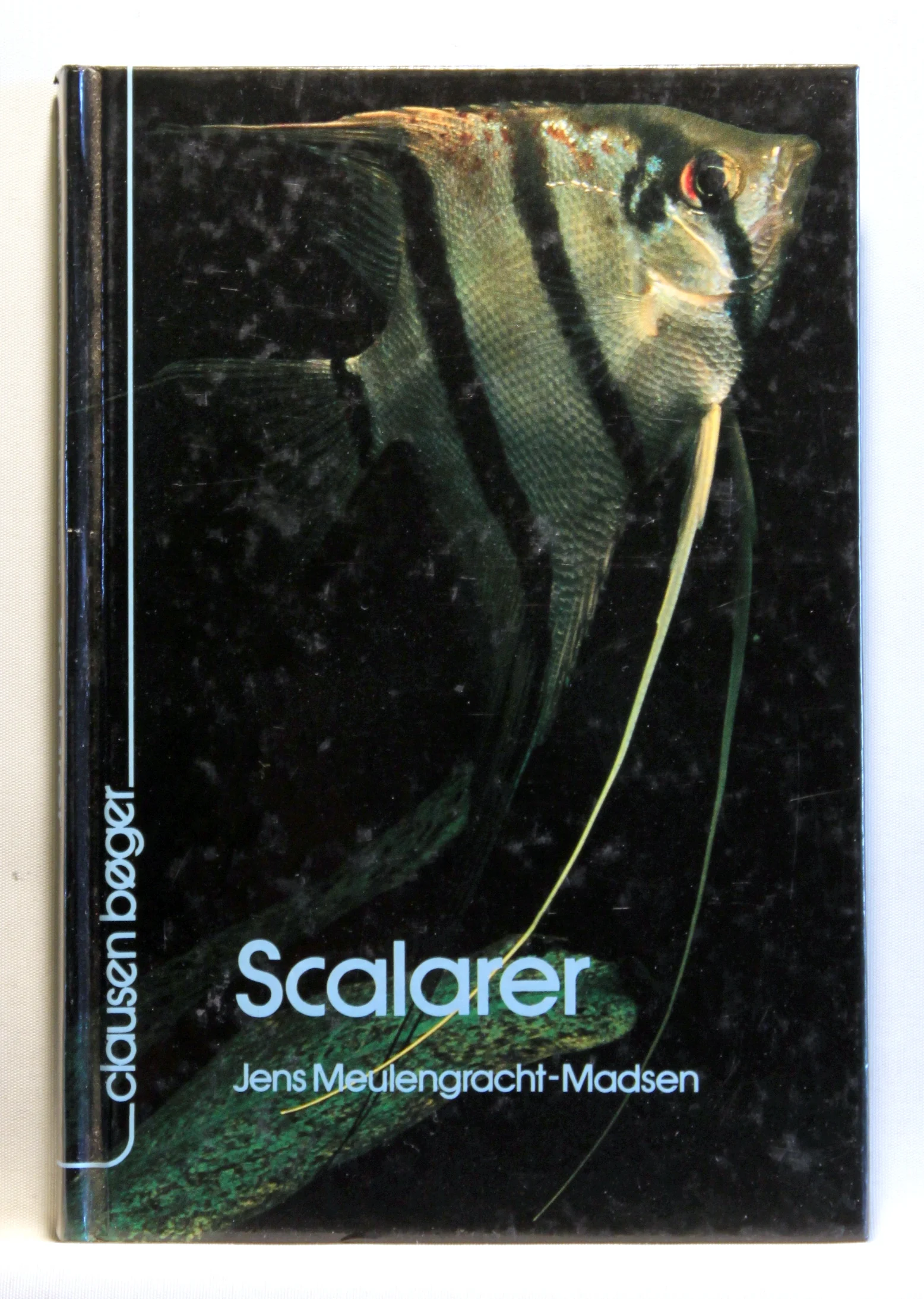 Scalarer