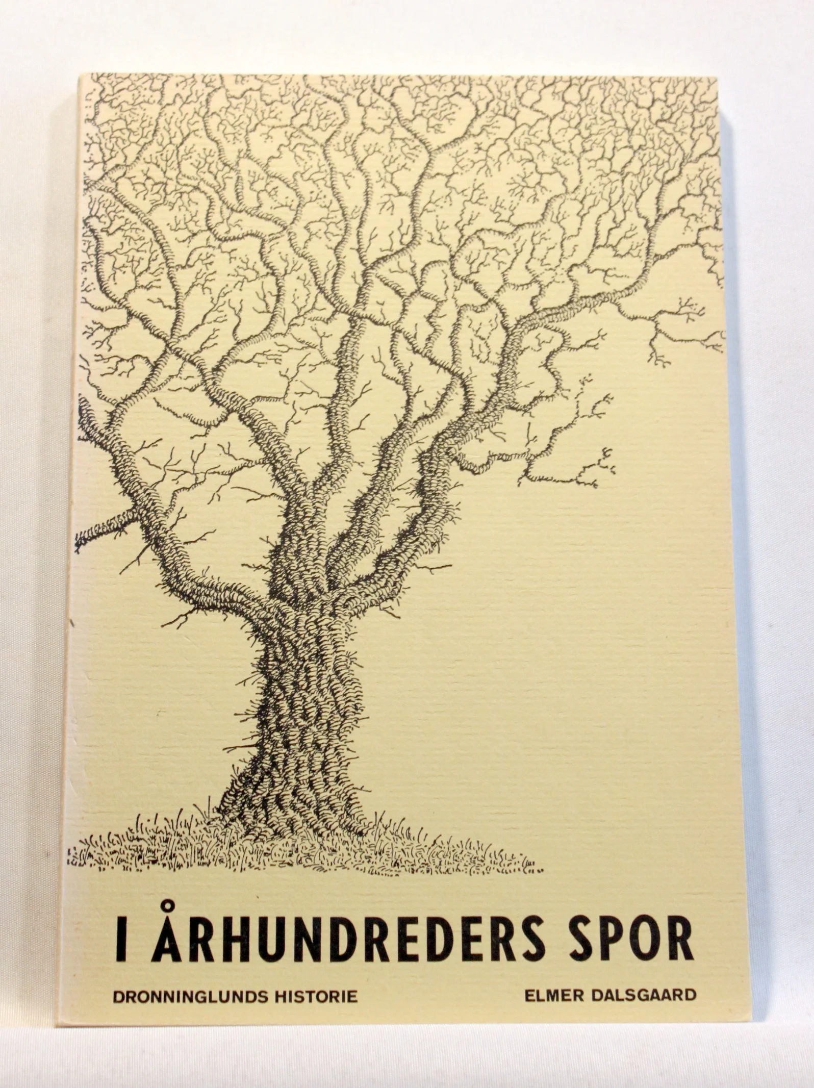 I århundredes spor. Dronninglunds historie