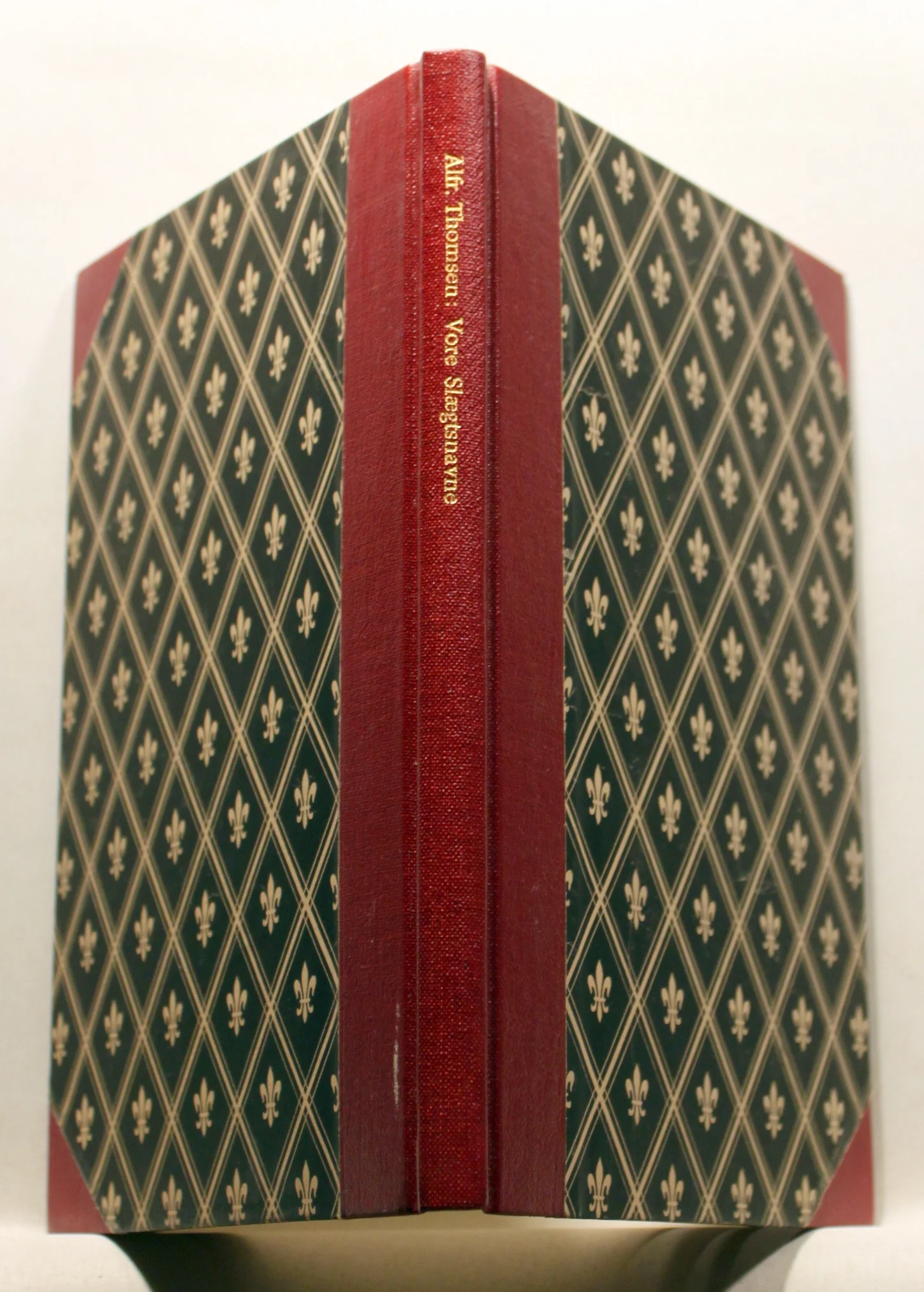 Vore Slægtsnavne. En undersøgelse af vore Slægtsnavnes Oprindelse og Fordeling med særligt henblik paa -sen Navnene