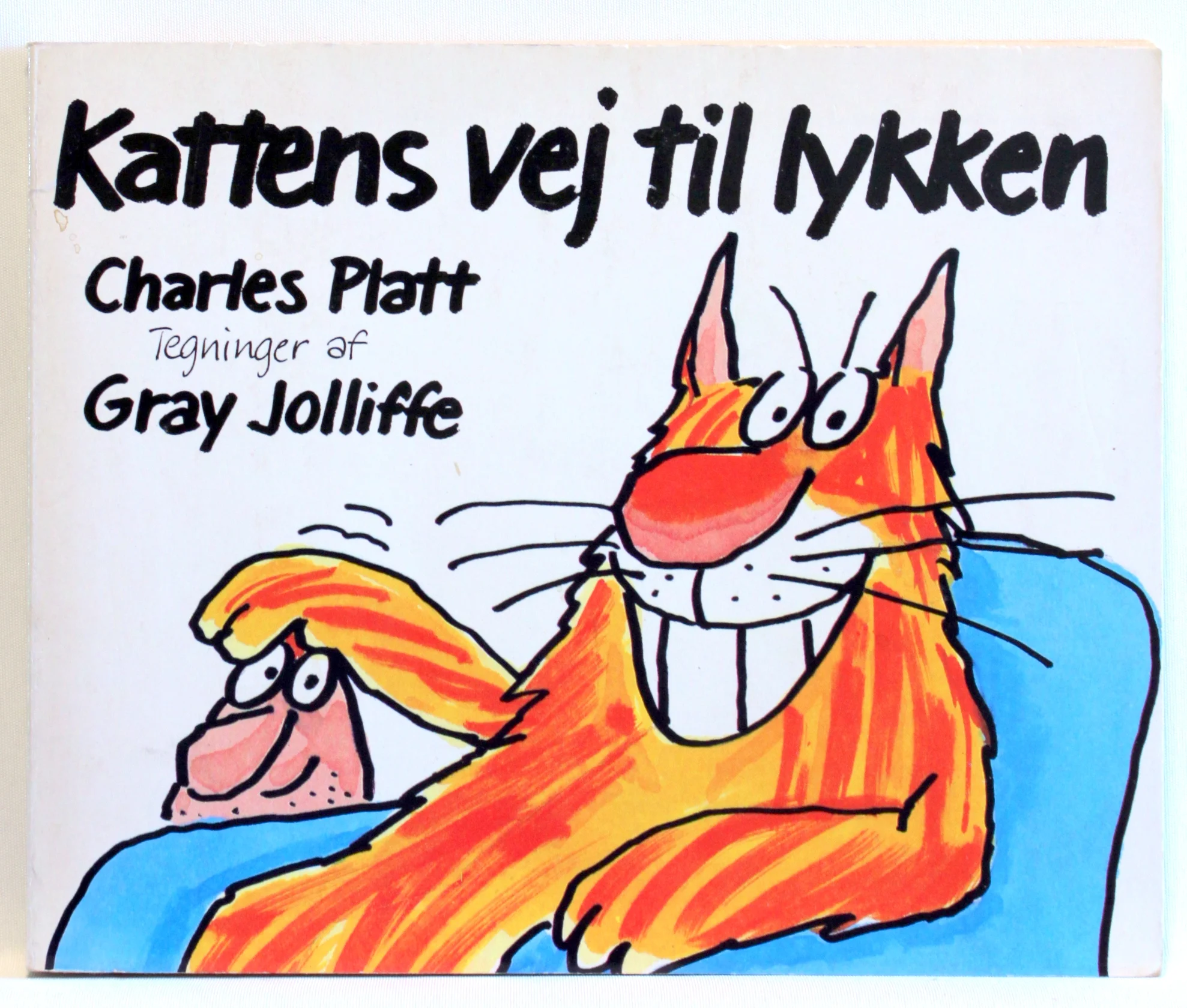 Kattens vej til lykken