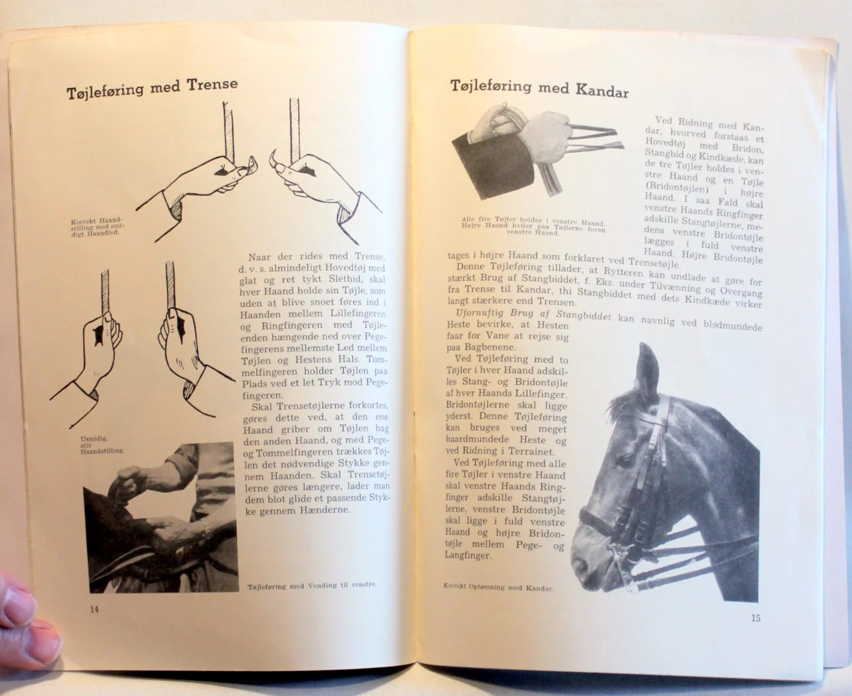 Vejledning i Ridning paa Landet