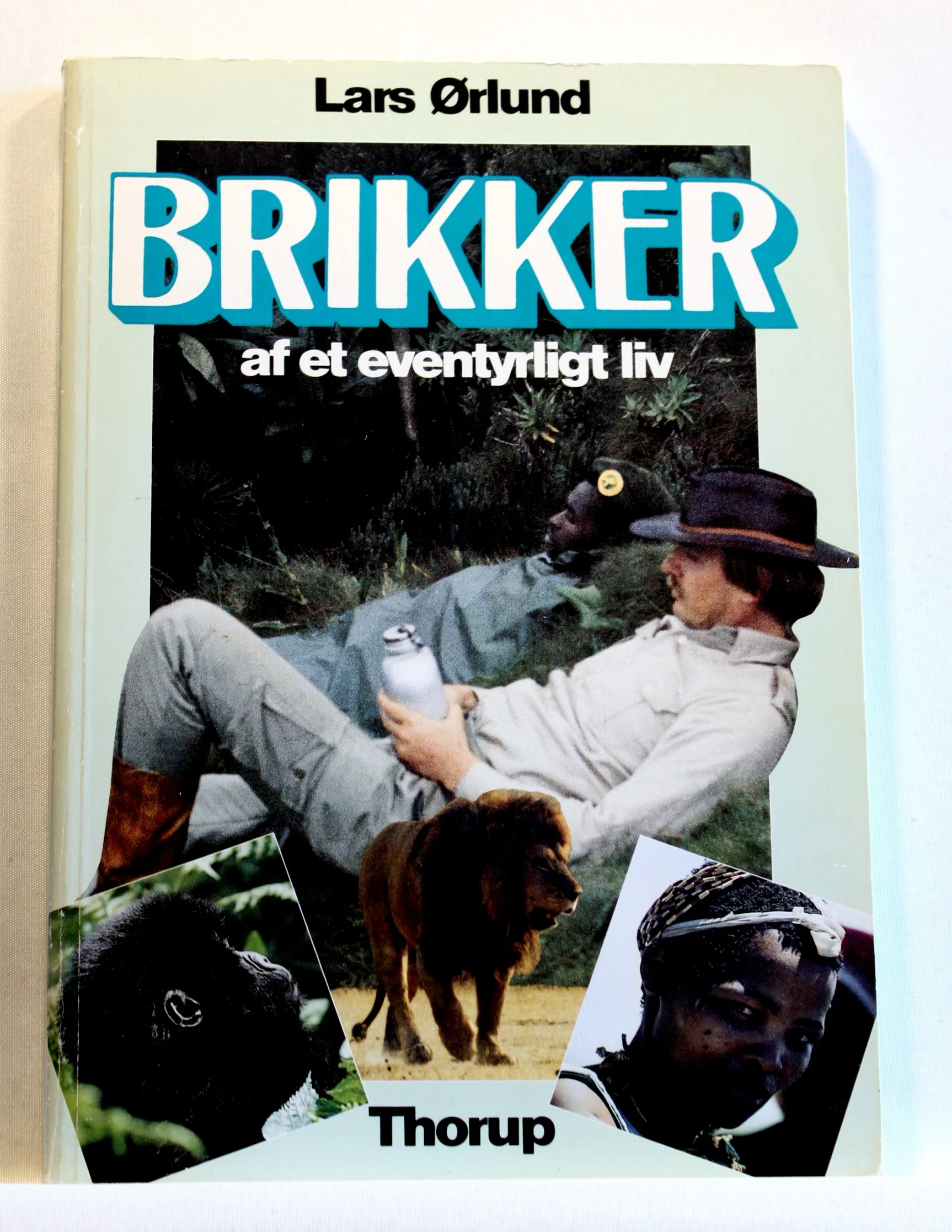 Brikker af et eventyrligt liv