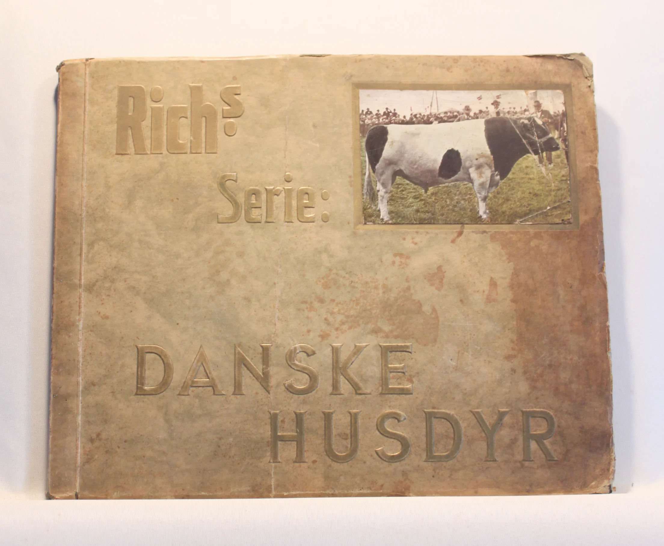 Rich´s Serie: Fra mark og skov