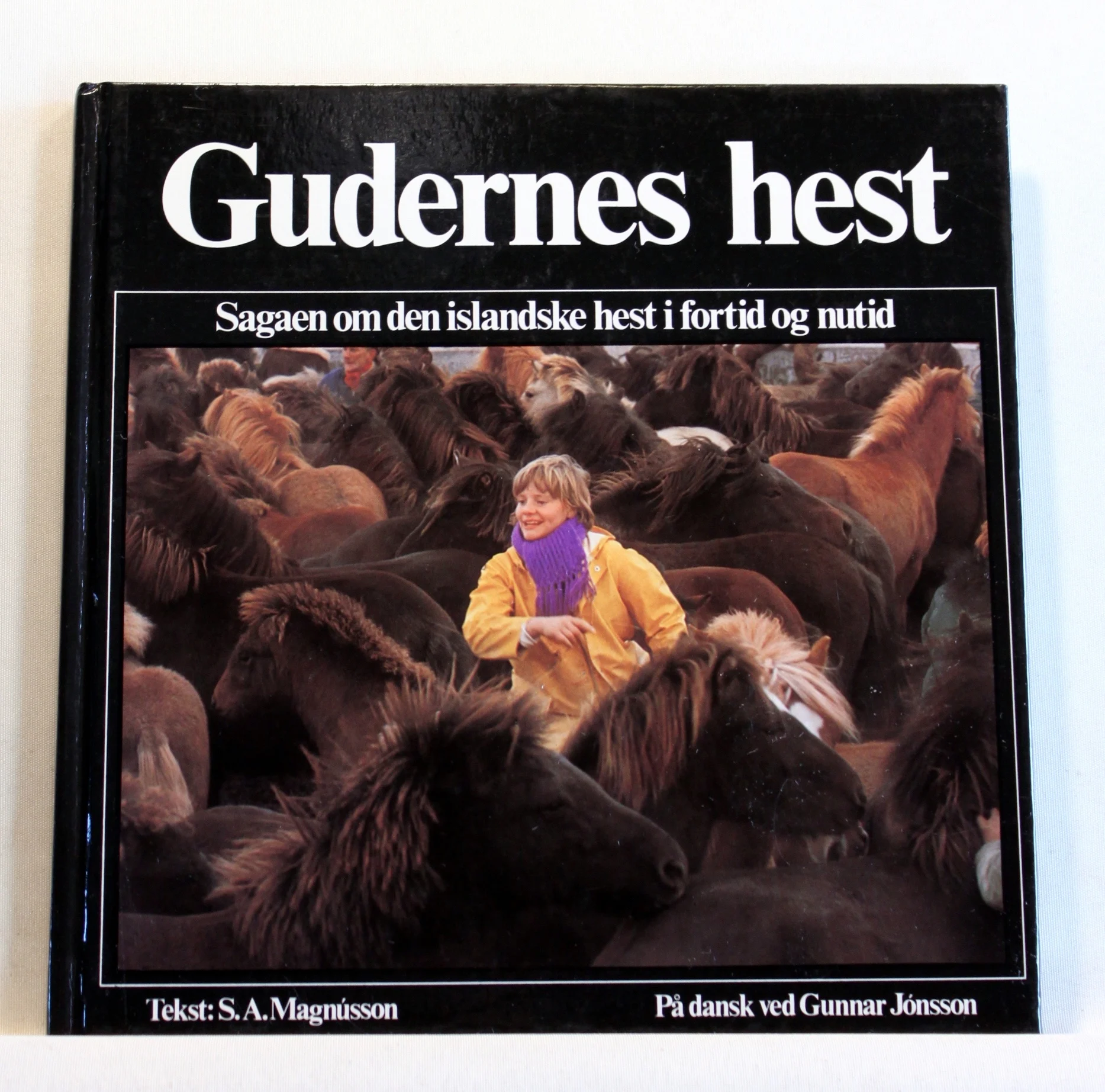 Gudernes hest. Sagaen om den islandske hest i fortid og nutid