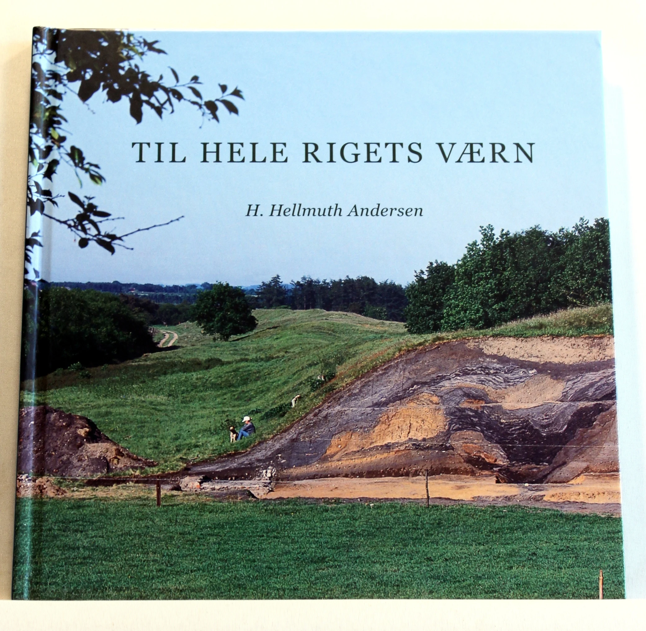 Til hele Rigets værn. Danevirkes arkæologi og historie