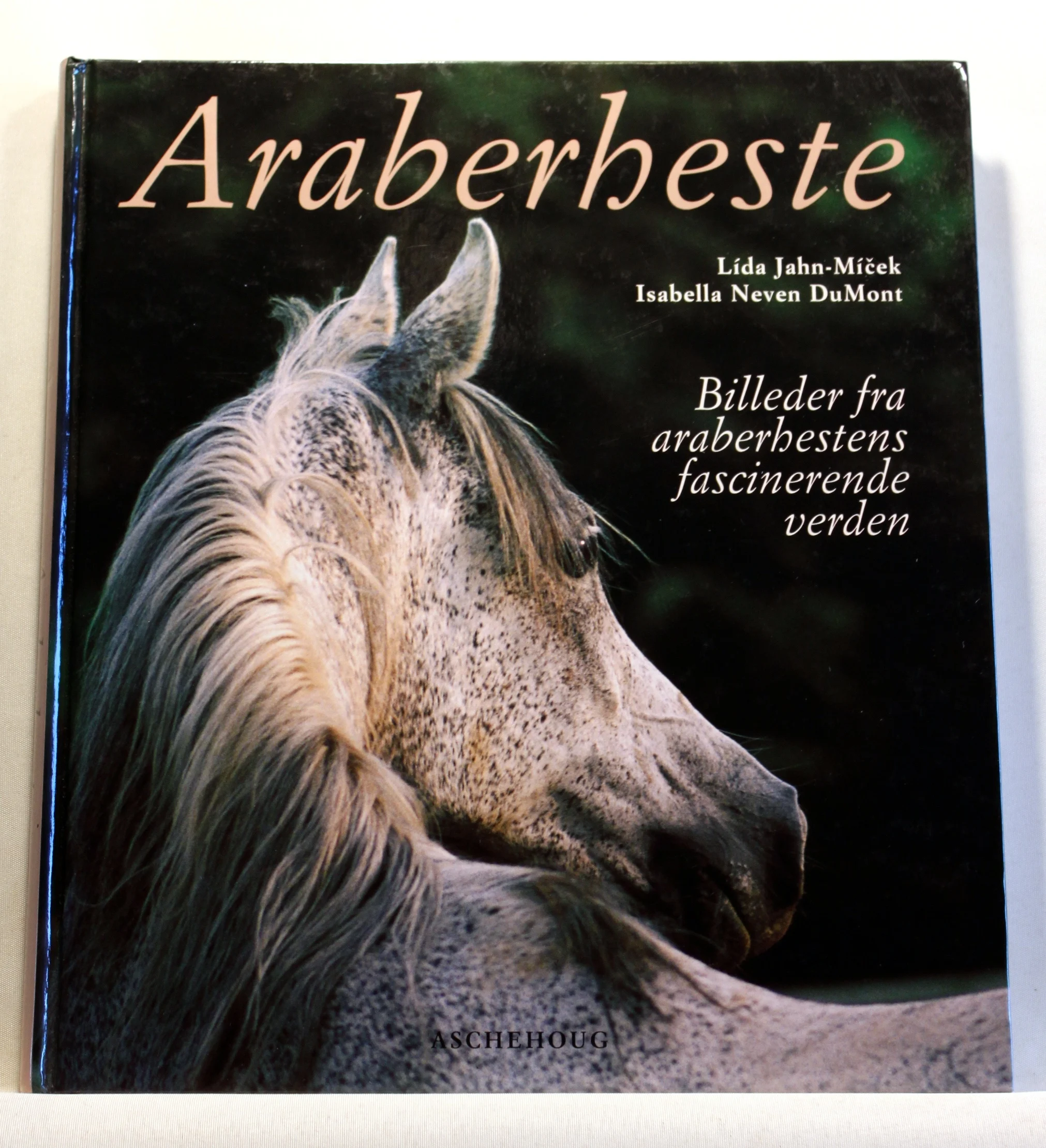 Araberheste. Billeder fra araberhestens facinerende verden
