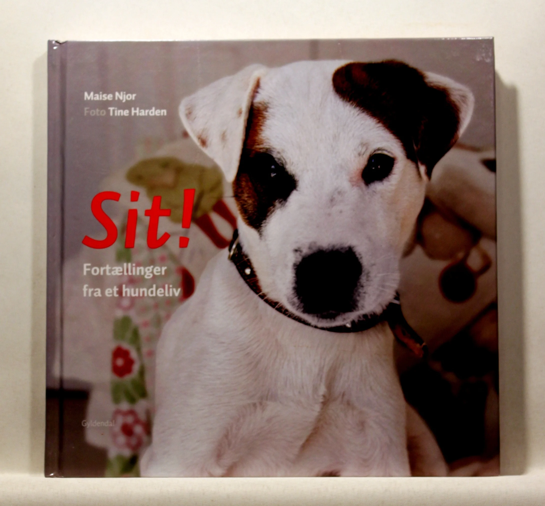 Sit – fortællinger fra et hundeliv