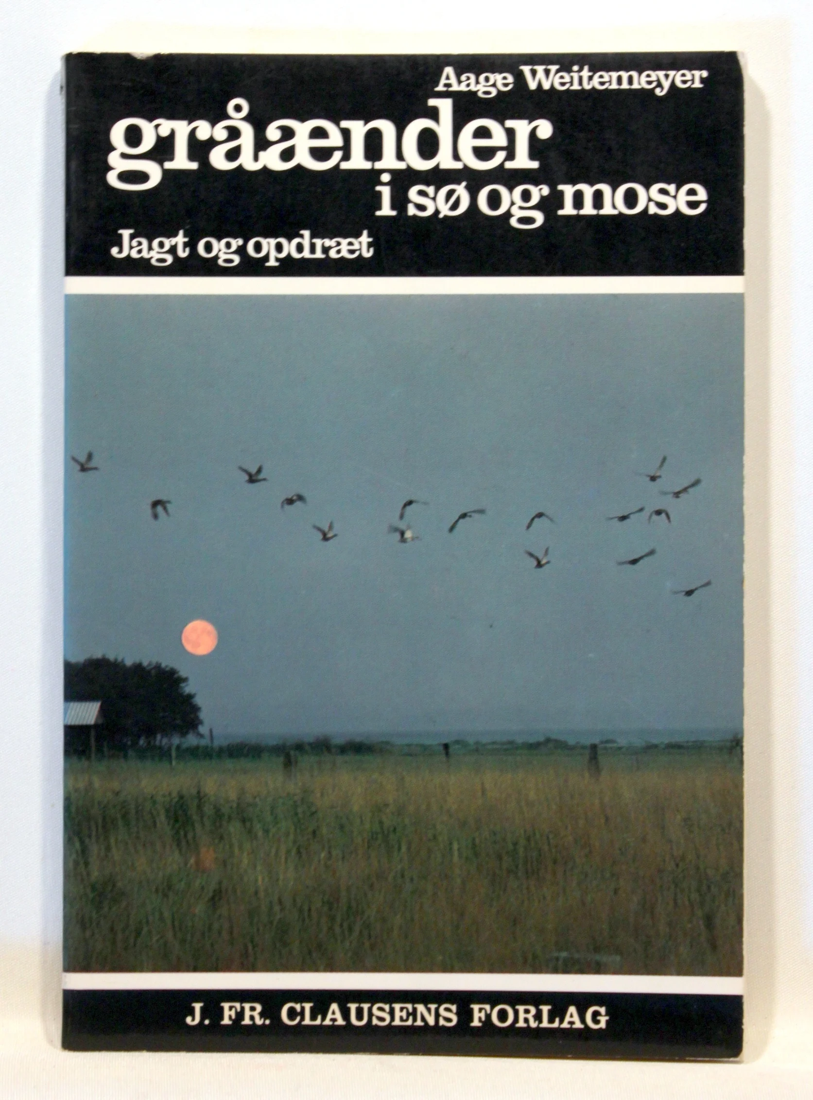 Gråænder i sø og mose