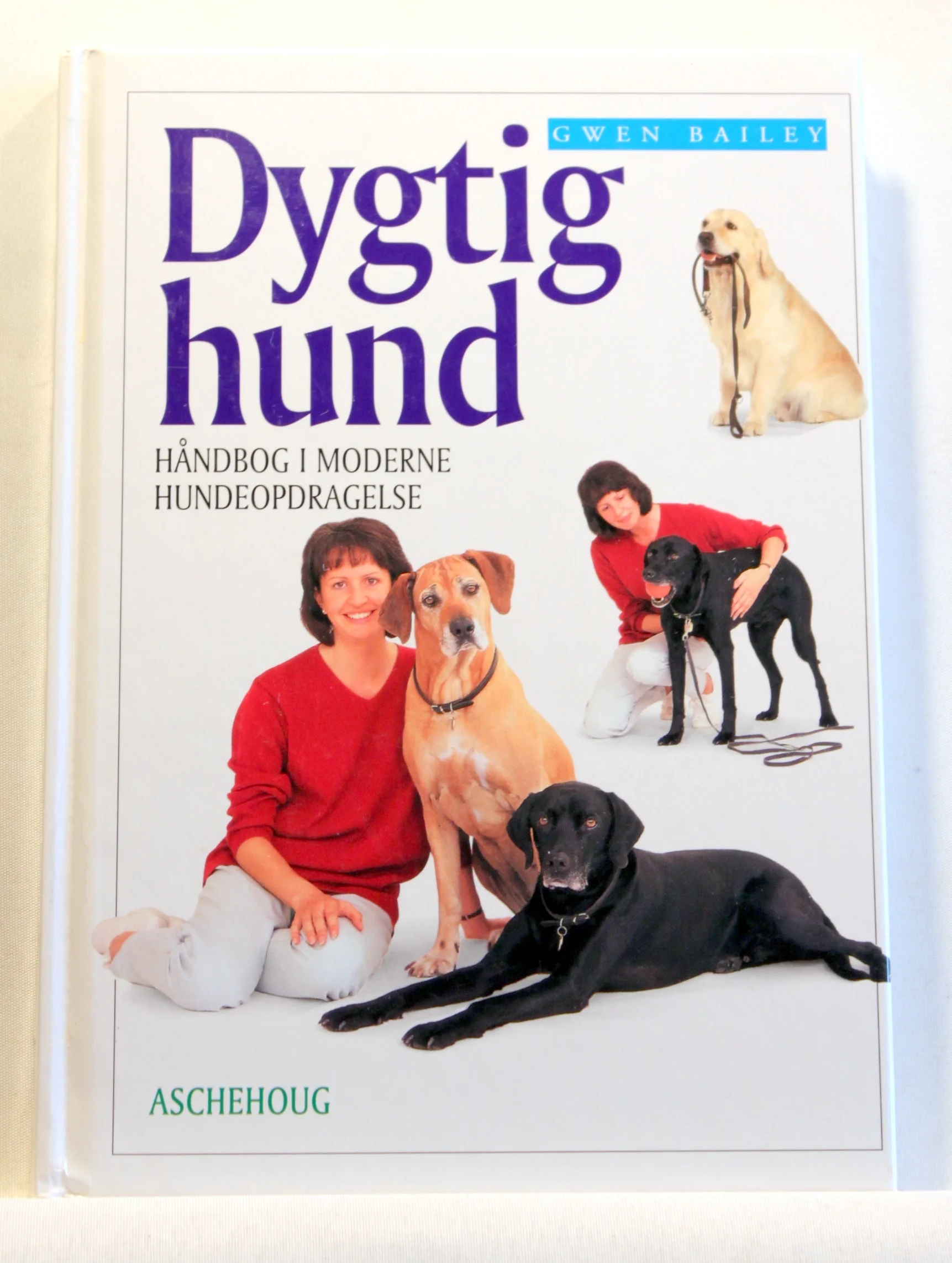 Dygtig hund