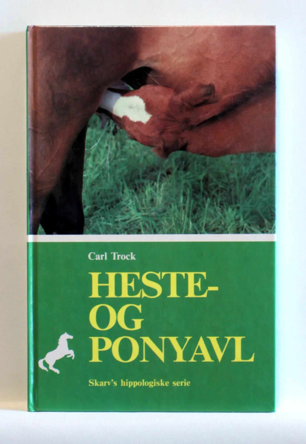 Heste- og ponyavl