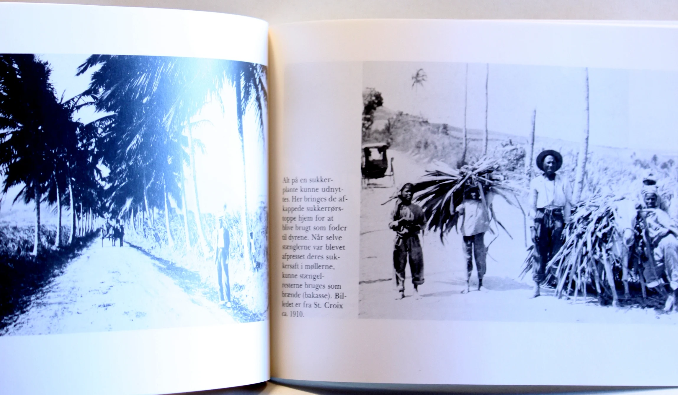 Fra det nu forsvundne Dansk Vestindien