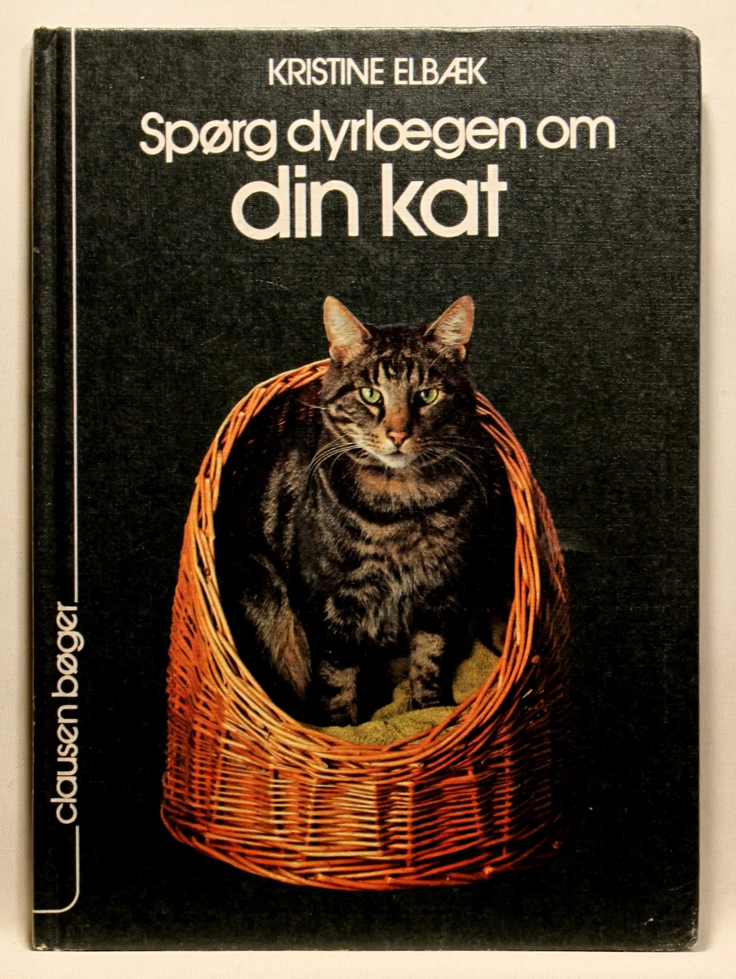 Spørg dyrlægen om din kat