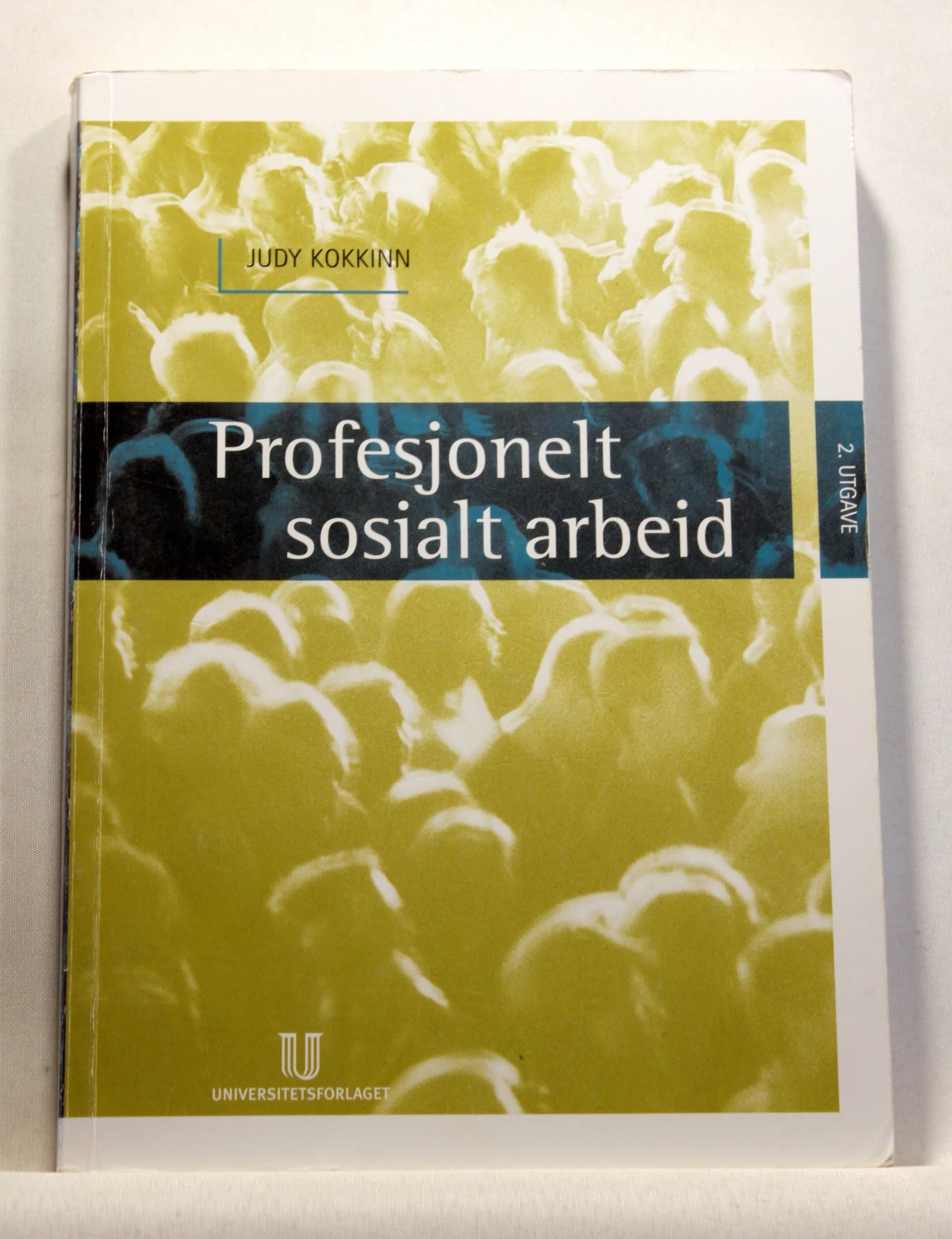 Profesjonelt sosialt arbeid