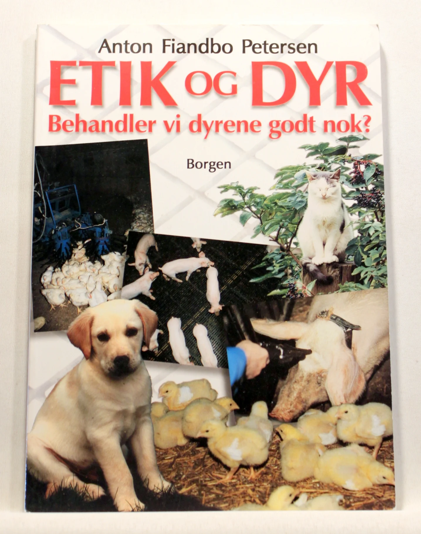 Etik og dyr. Behandler vi dyrene godt nok?