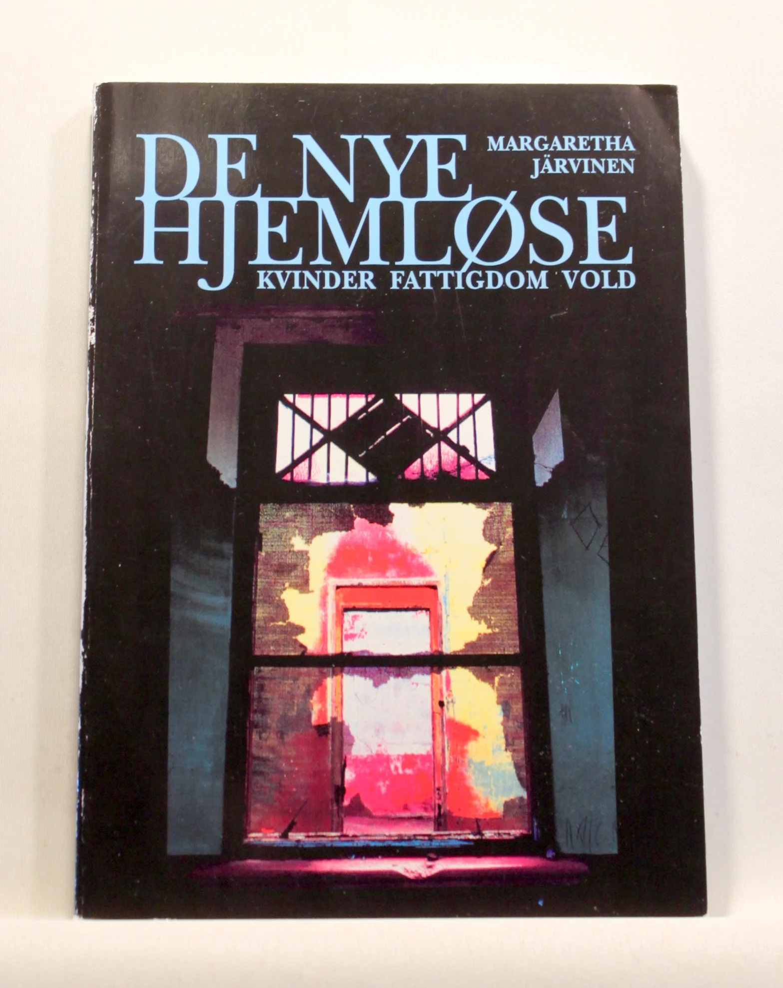 De nye hjemløse. Kvinder, fattigdom og vold