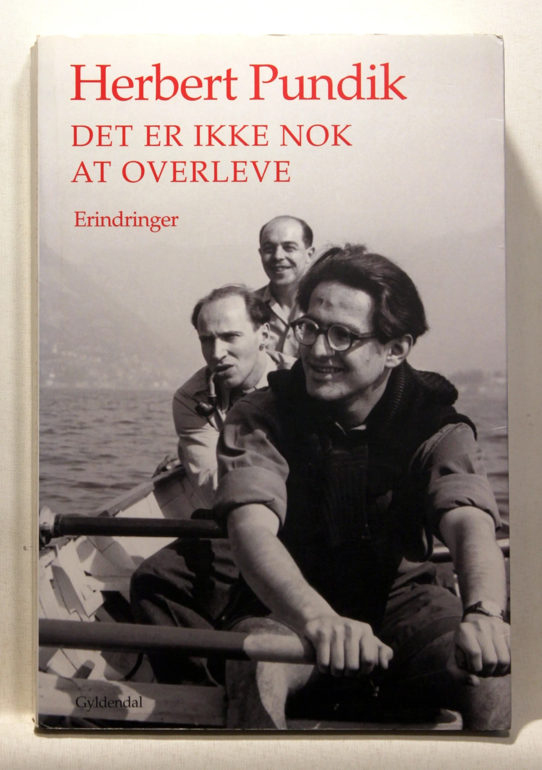Det er ikke nok at overleve. Erindringer