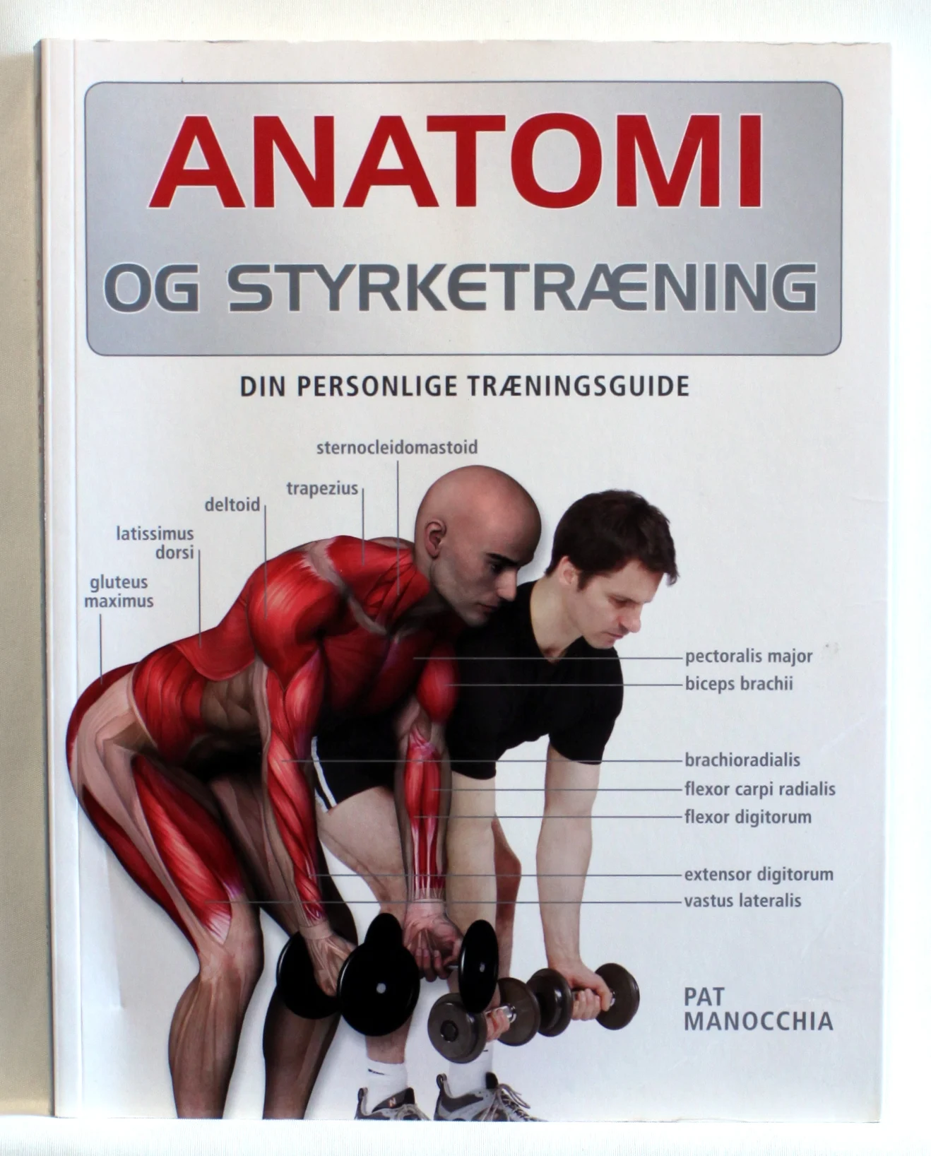Anatomi og styrketræning – din personlige træningsguide