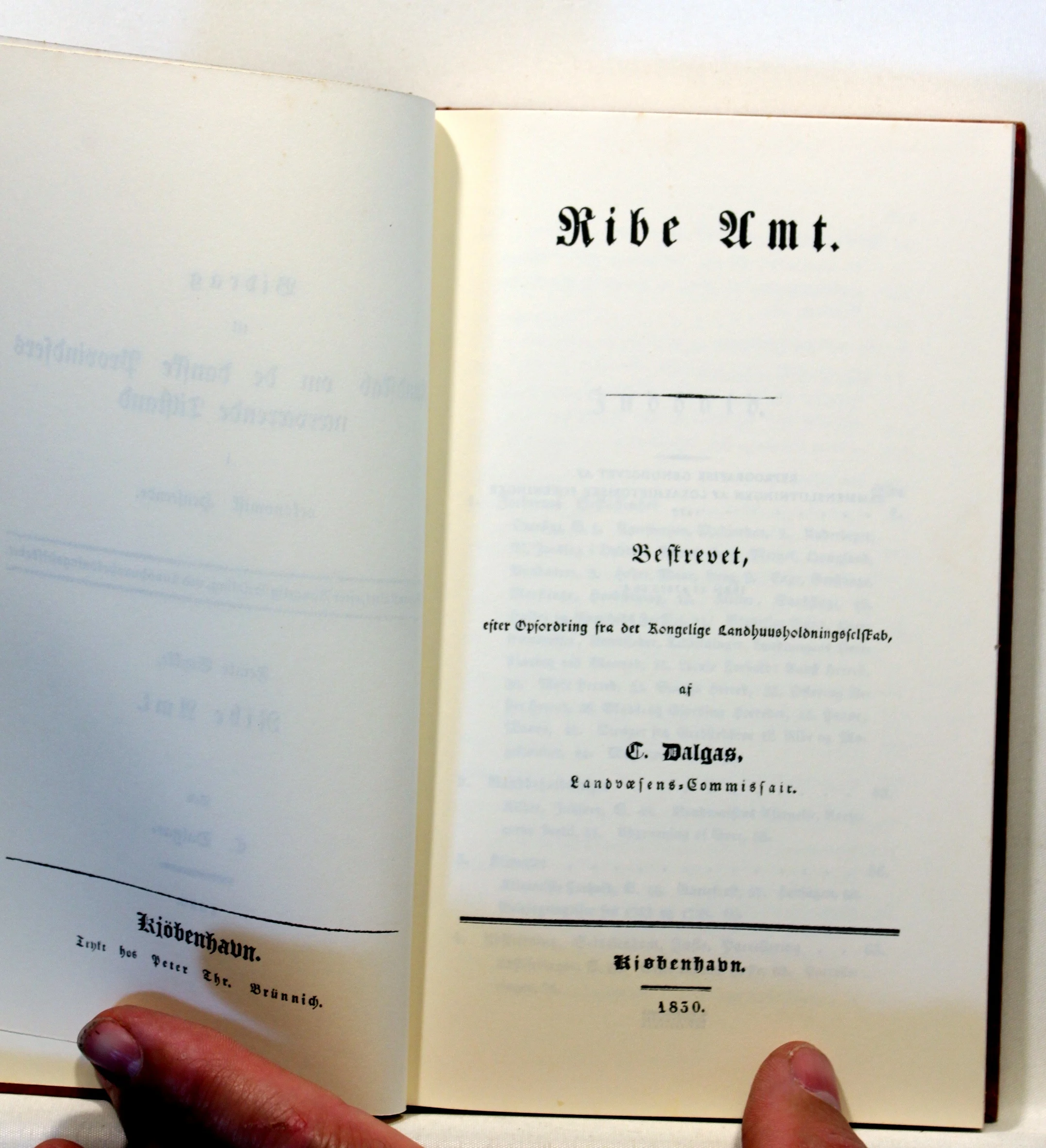 Bidrag til Kundskab om de danske Provindsers nærværende Tilstand i økonomisk henseende, foranstaltet, efter Kongelig Befaling, ved Landhuusholdningsselskabet. Femte stykke. Ribe Amt.