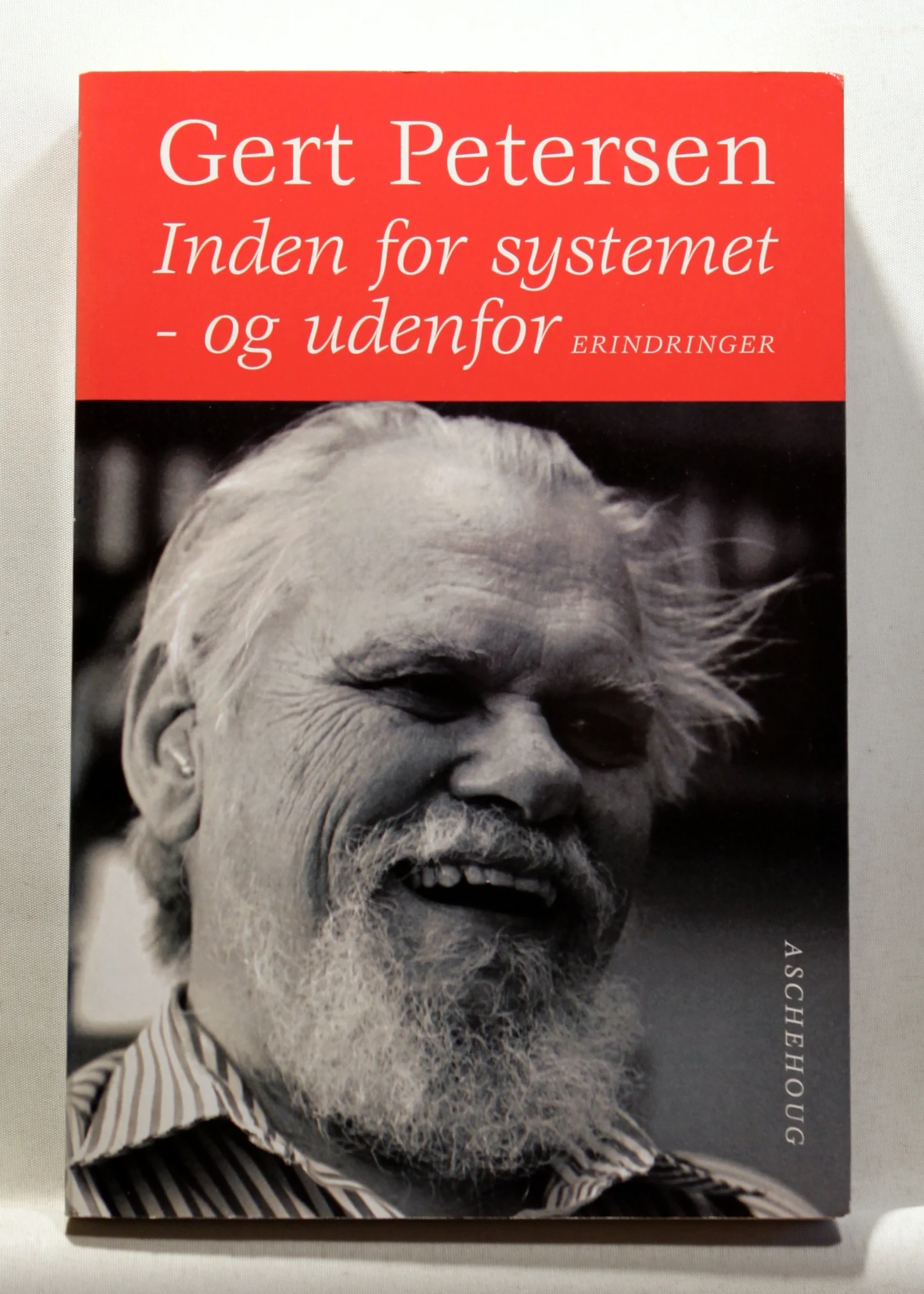 Inden for systemet – og udenfor