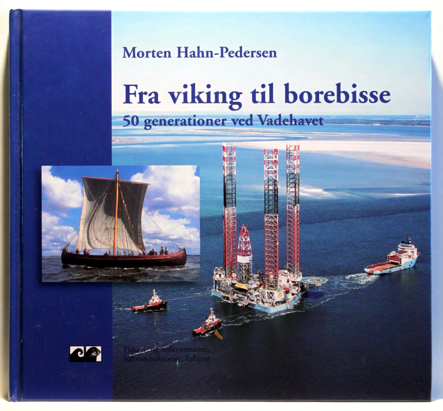 Fra viking til borebisse