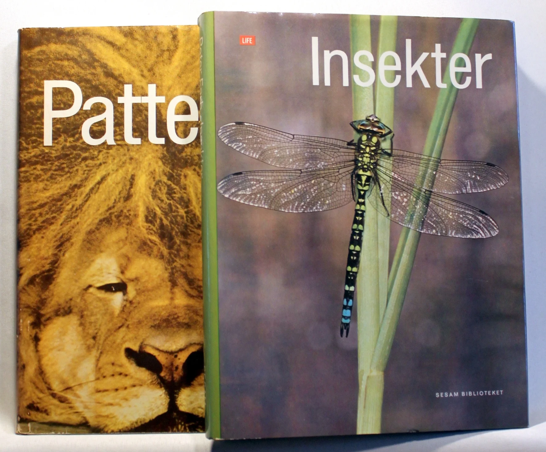 Insekter. Pattedyr
