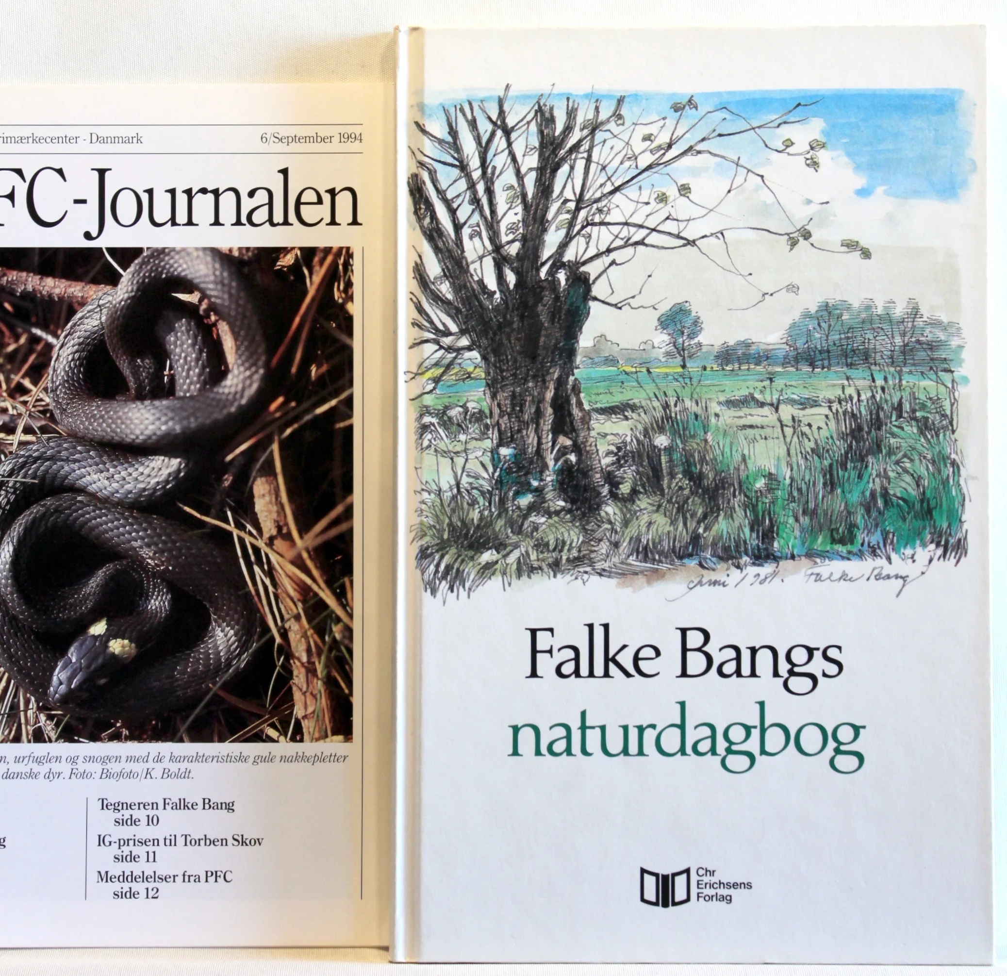 Falke Bangs naturdagbog