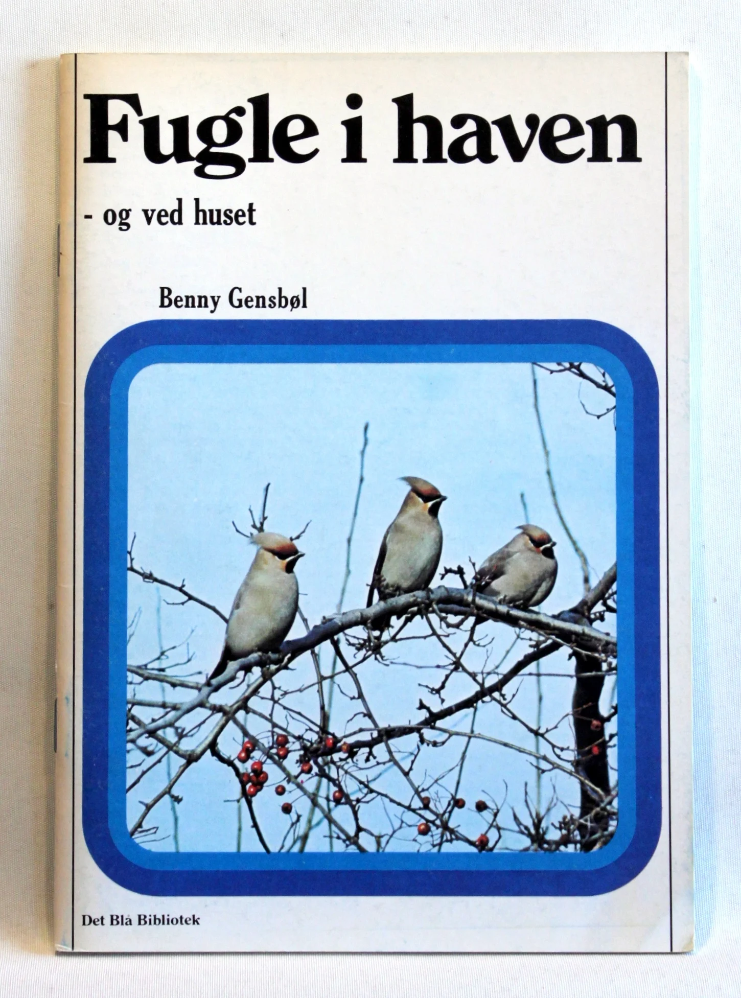 Fugle i haven – og ved huset