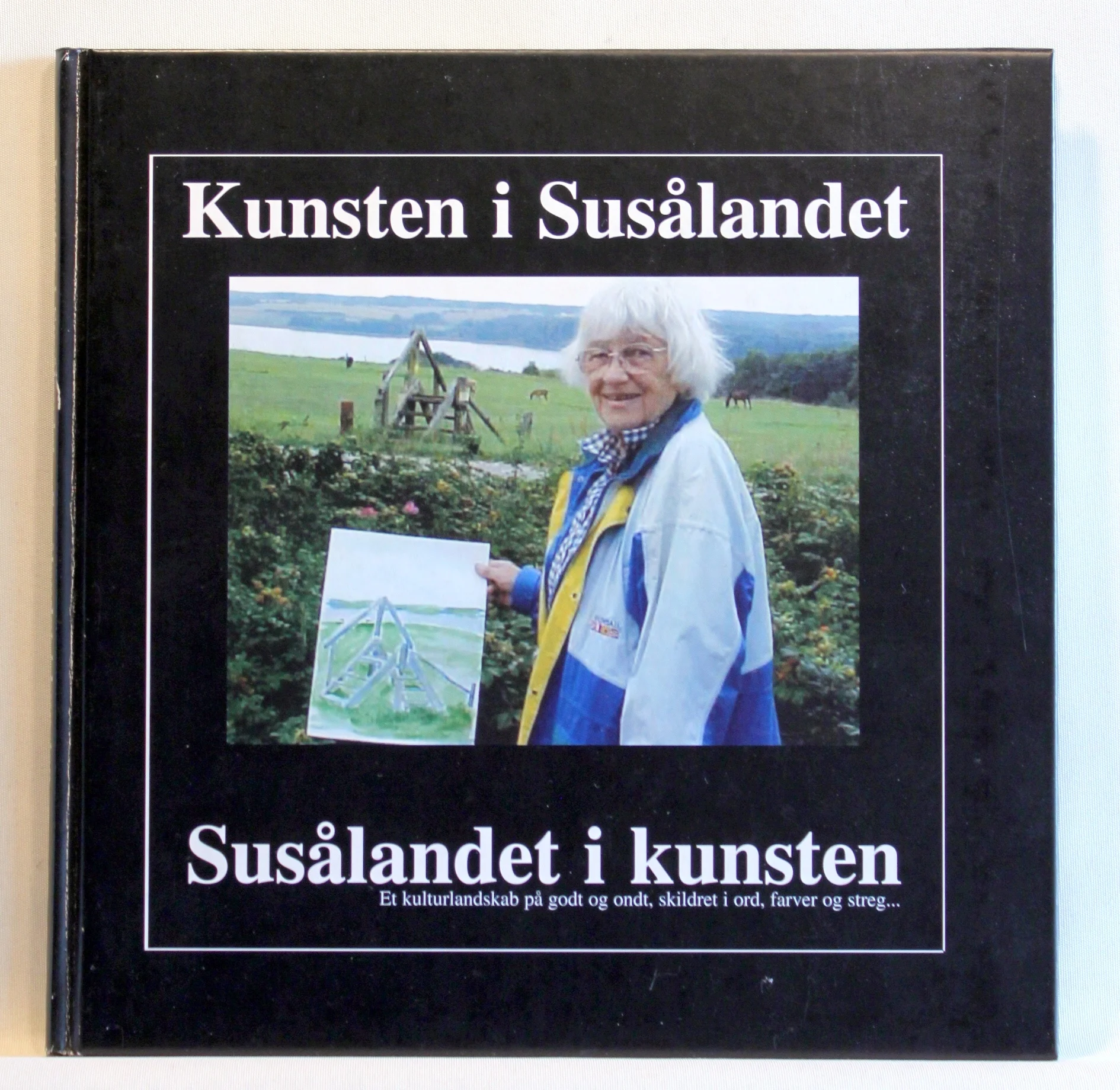 Kunsten i Susålandet – Susålandet i kunsten