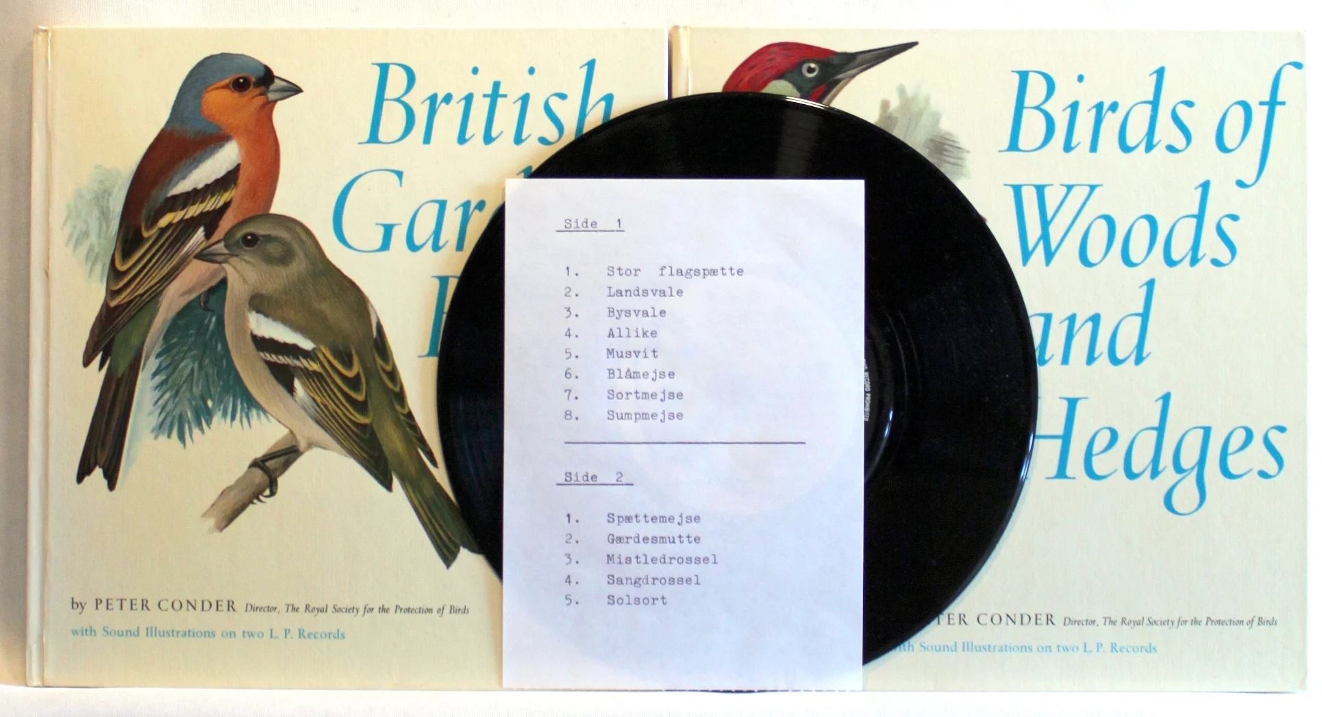 Birds of Woods and Hedges. British Garden Birds