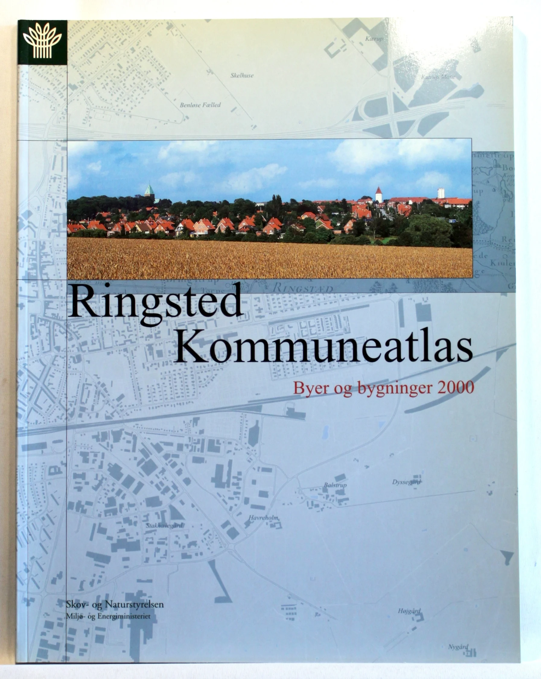 Ringsted kommuneatlas. Byer og bygninger 2000