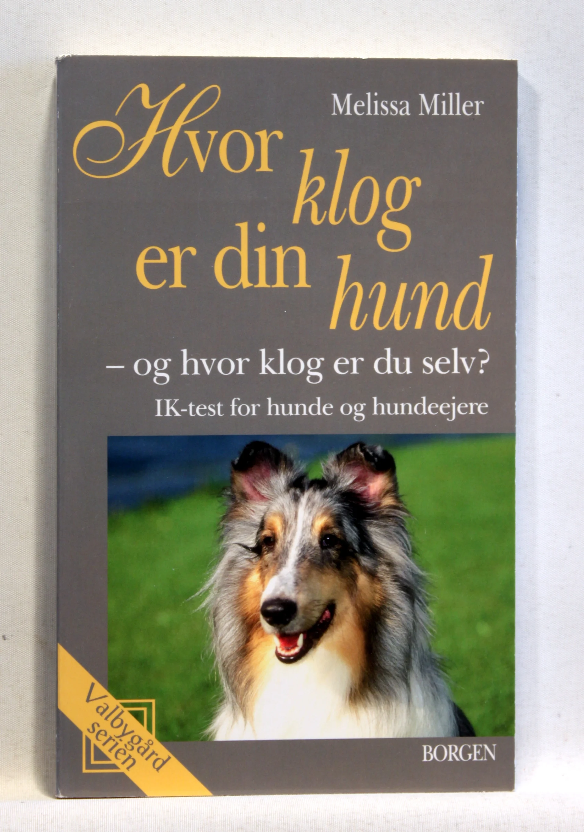 Hvor klog er din hund – og hvor klog er du selv? IK-test for hunde og hundeejere